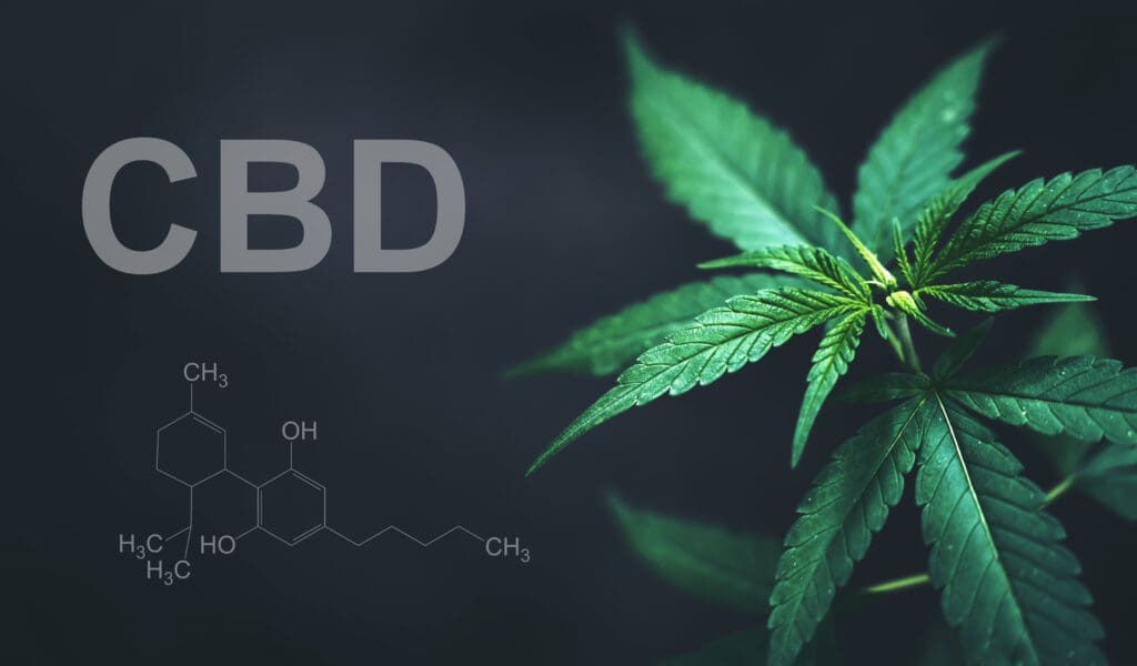 cbd