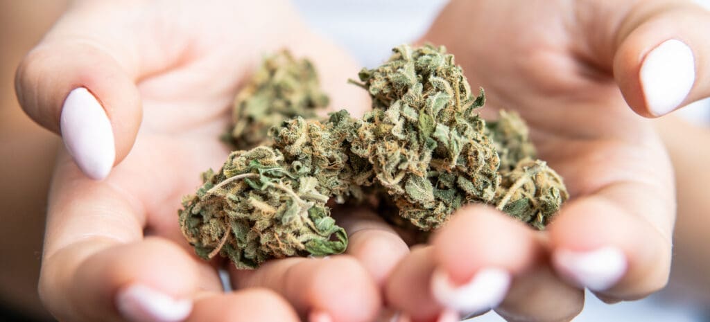 cannabinoïde CBD, explications et cadre légal